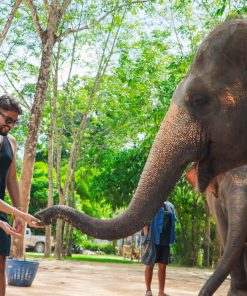 Green Elephant Sanctuary Park - Half Day Elephant Care